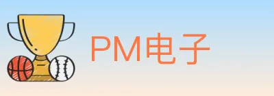PM电子 logo